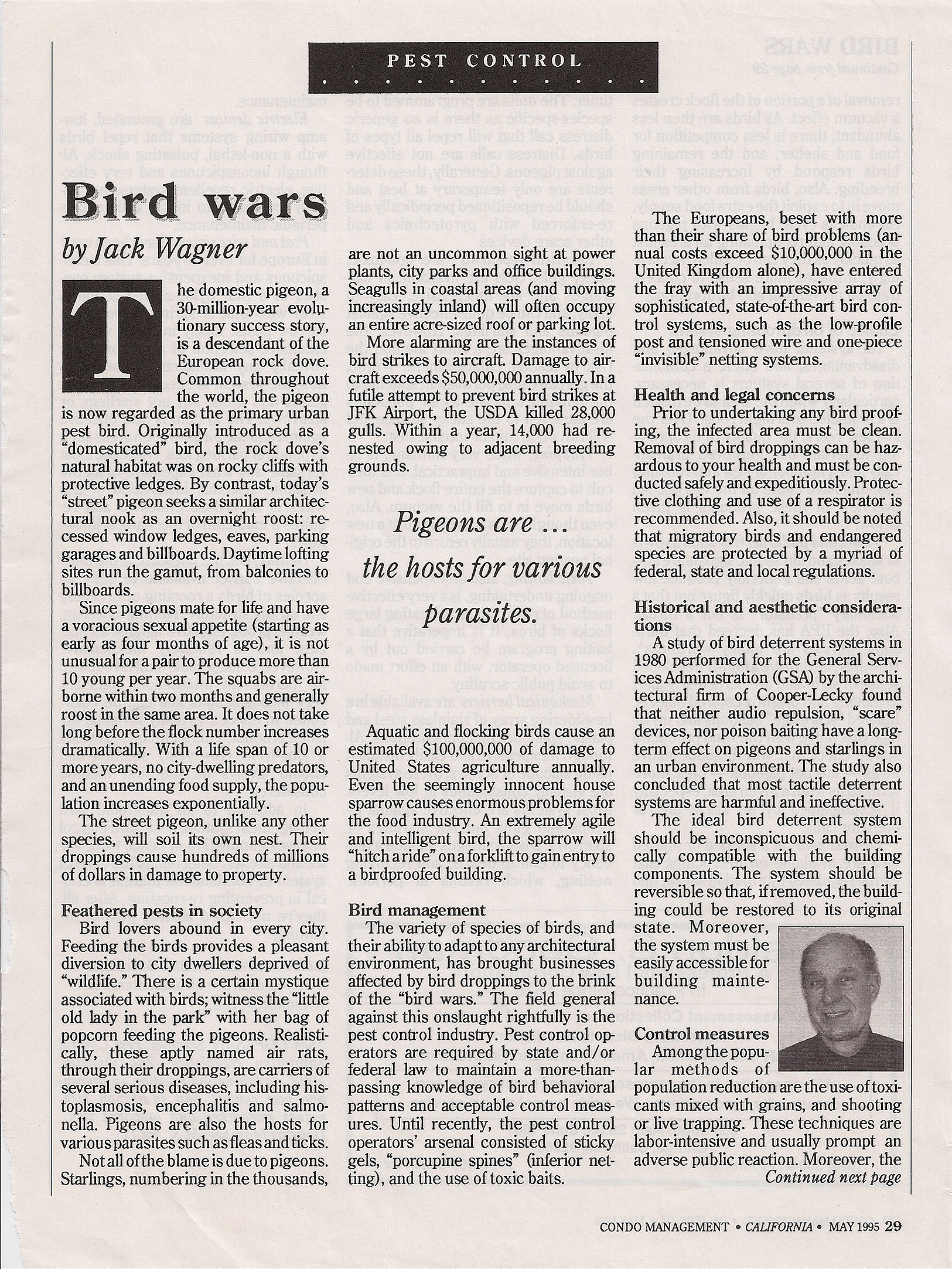 Bird Wars by Jack Wagner