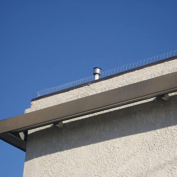 Commercial Bird Control Solutions