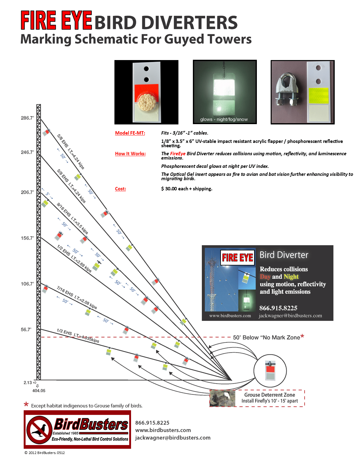 FireEye Cell Tower Flyer